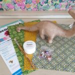 Decopatch 3D Brontosaurus Kit SA143