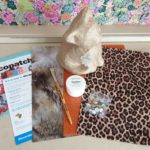 Decopatc 3D Kitten Kit SA1760